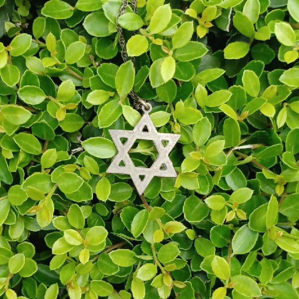 Star Pendant Necklace with Blue and Silver Accents - Picture 4 of 6